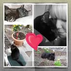 Sabine Bender - Facebook