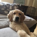 Sabine Bender - Facebook