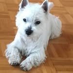 Sabine Bender - @bender_sabine01 - Instagram