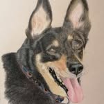 Sabine Bender - @phoebes_animal_art - Instagram