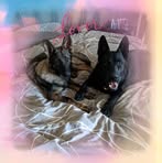 Sabine Dick - Facebook