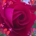 Sabine Mann - @sabine.mann.526 - Instagram