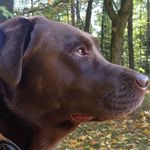 Sabine Nettelrodt - @sabinenettelrodt - Instagram