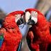 Sabine Pasquet - Facebook
