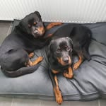 Sabine Schaefer - @sabine.schaefer.129 - Instagram