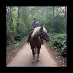 Sabine Schaefer - @sabine.schaefer.52 - Instagram