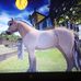 Sabine Senft - Facebook
