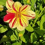 Sabine Simon - @sabinesimon67 - Instagram