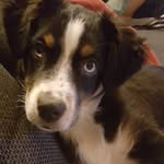 Sabine Simon - @sabine.simon.182 - Instagram