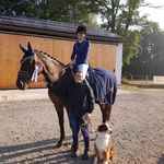 sabine78 - @singhammersabine - Instagram