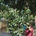 Sabine Singh - Facebook
