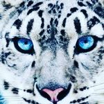 Sabine Stadelmann - @singhsabine - Instagram