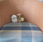 Sabine Strobl - Facebook