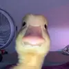 Sabine Strobl - @sabine_strobl - TikTok