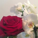Sabine Thomas - Facebook