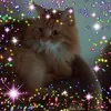 Sabine Thomas - @sabine.thomas90 - TikTok