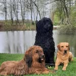 Sabine Thomas - @sabinethomas6007 - Instagram