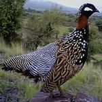 Sabir Akbar - @akbarsabir - Instagram