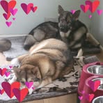 Sabine Foster - Facebook