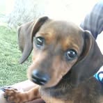 Sable Gordon - Facebook