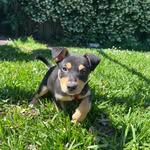 Sable hunter ❤️ - @sableandsasha - Instagram