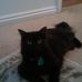 Sable Williams - Facebook