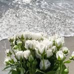 Sabreen Mustafa - Facebook