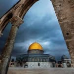 Sabreen Mustafa - @sabreen.mustafa.731 - Instagram