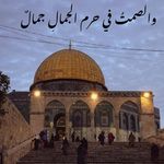 Sabreen Taha - @sabreentaha1 - Instagram