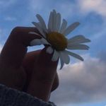SABREENA ALI 🥱 - @sabreena_ali9 - Instagram