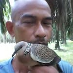 Sabri Abdullah - @sabri.abdullah.7796 - Instagram