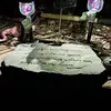Sabrina Ackerman - @sabrina.ackerman4 - TikTok