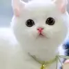 s_a_b_r_i_n_a - @sabrinaahnert469 - TikTok