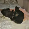 sabrinaahn953 - @sabrinaahn953 - TikTok