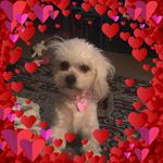 Sabrina Ashmore - @sabrina.ashmore.1 - Instagram