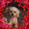 sabrinaashmore868 - @sabrinaashmore868 - TikTok