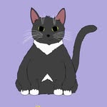 Sabrina (Bean) - @queenbean.thecat - Instagram