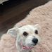 Sabrina Berman - Facebook