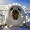 Sabrina brill - @sabrina.brill8 - TikTok
