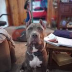 Sabrina Dingman Byrd - @littleoneof7 - Instagram