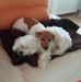 Sabrina Cason - Facebook