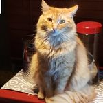 Sabrina Chase - @pumpkin_puttybaby - Instagram