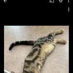 Sabrina Chery - Facebook