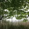 clementsabrina - @clementsabrina - TikTok