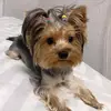 Ⲥⲁⳝⲣυⲏⲁ 🌺🐇 - @sabrina._.cloud - TikTok