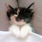 Sabrina Corrigan - Facebook