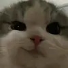 sabrina - @sabrinadewittt - TikTok
