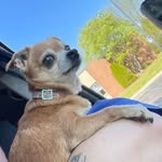 Sabrina Dotson - @just.b.superboi - Instagram