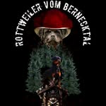 Sabrina Edinger - @bernecktaeler - Instagram