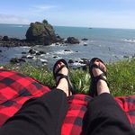Sabrina Erickson - @erickson.sabrina - Instagram